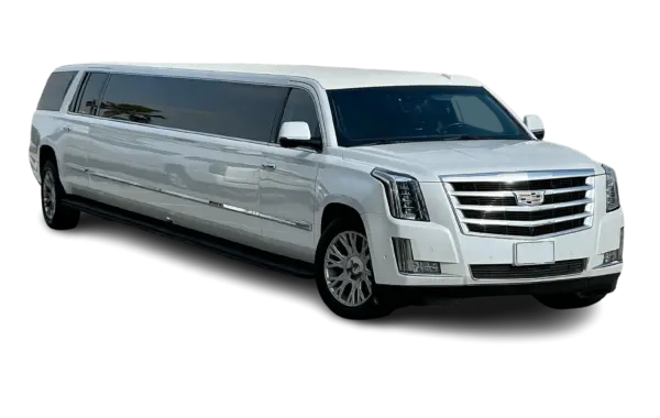 White Panther Limousine Rental