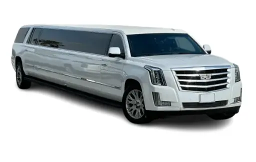 White Panther Limousine Rental